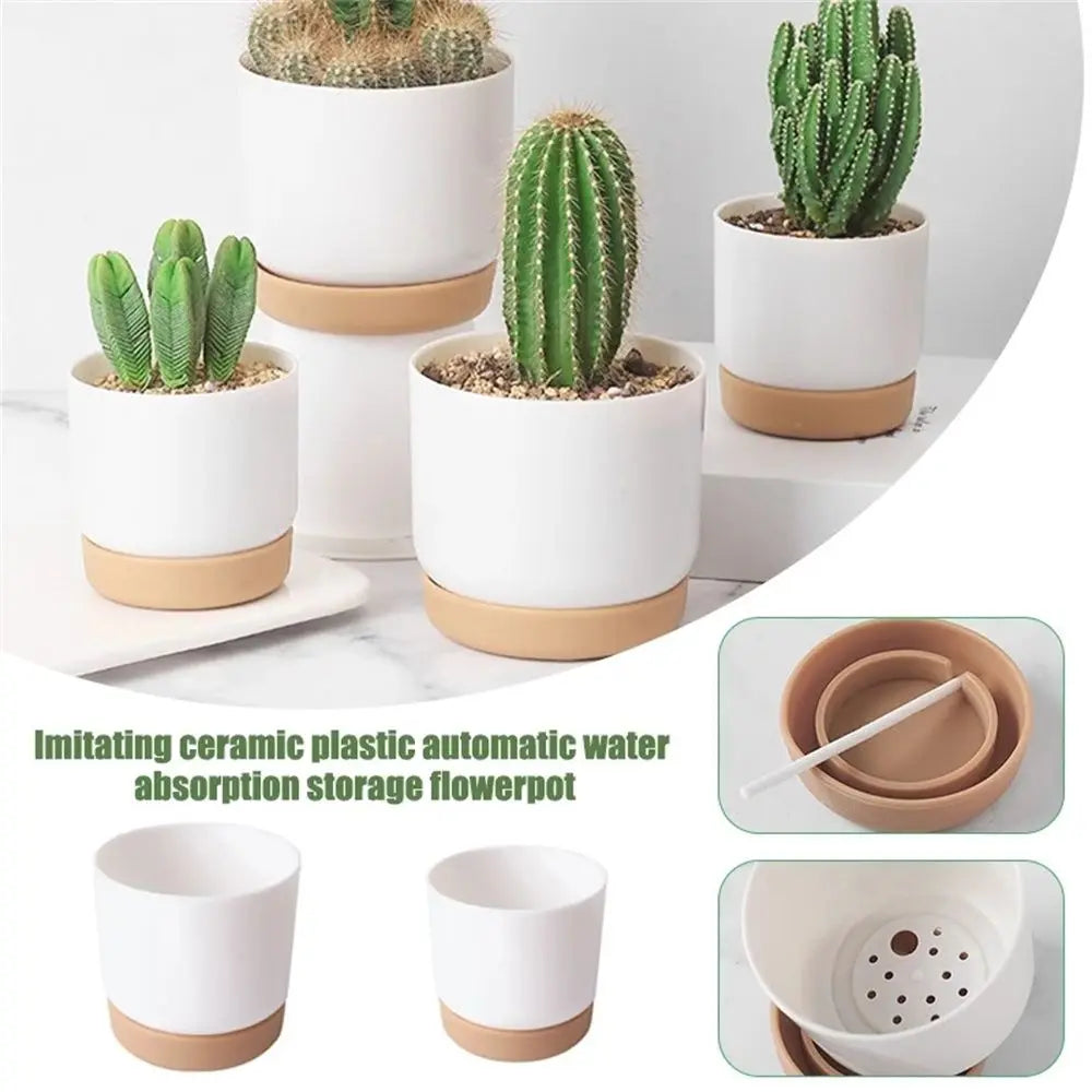 Double-Layer Succulent Planter Pot