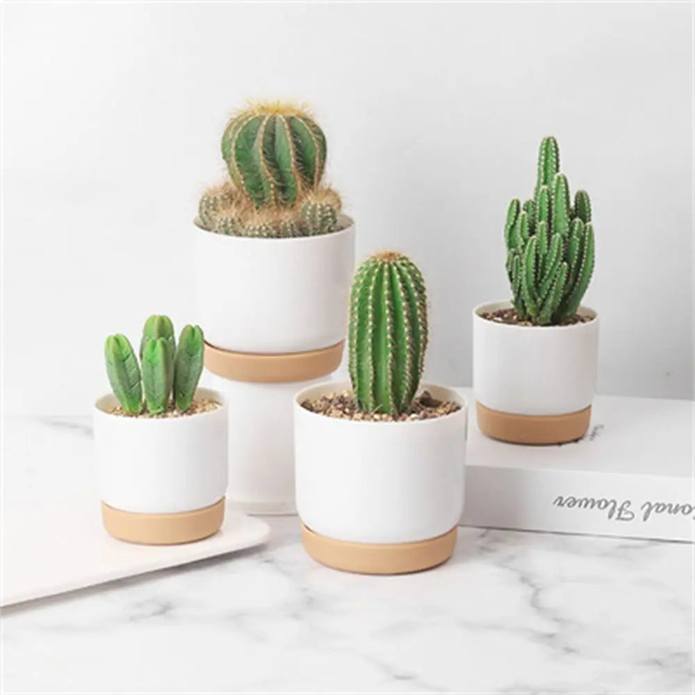 Double-Layer Succulent Planter Pot